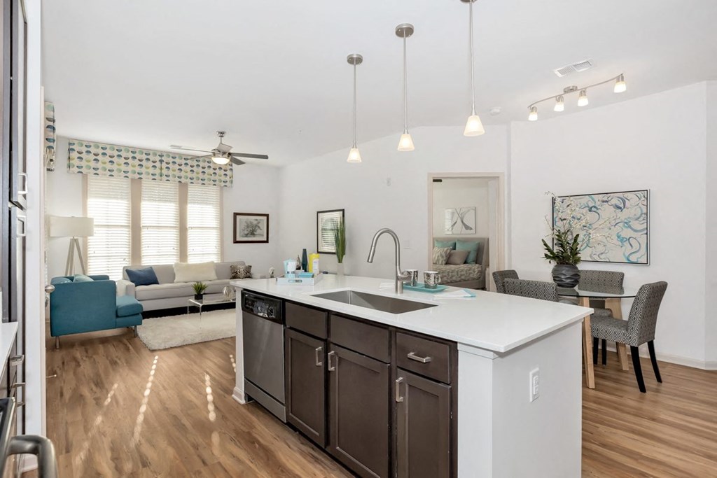 Kitchen and Living Room