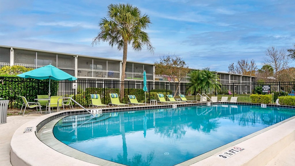 A swimming pool surrounded by chairs and a palm tree.