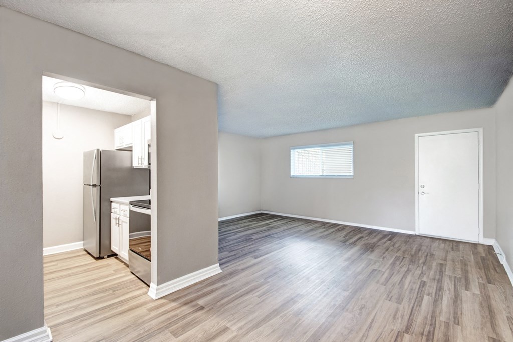 Living Room, Dining Area, and Kitchen