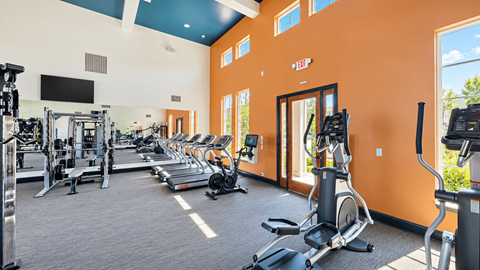 Fitness center with treadmills, ellipticals and a stationary bike at Argento at Oakland Springs Apartments in Madison, AL.