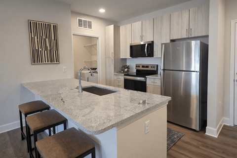 Modern apartment kitchen with granite countertops and stainless steel appliances at Argento on the Broad in Arden, NC