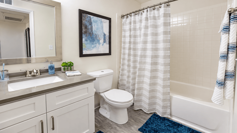 Bathroom with a white vanity, framed mirror and tub with a striped shower curtain at Icon Avondale Apartments in Decatur, GA.
