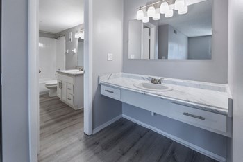 updated bathroom with grey walls, vinyl plank woodlike flooring, long vanity room separate from bathroom . - Photo Gallery 2