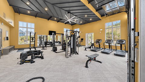 Fitness center with strength machines, free weights and treadmills at The View on Canton in Cartersville, GA.
