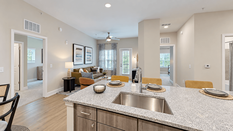 Kitchen island with stainless steel sink overlooking a furnished living room at The View on Canton in Cartersville, GA.