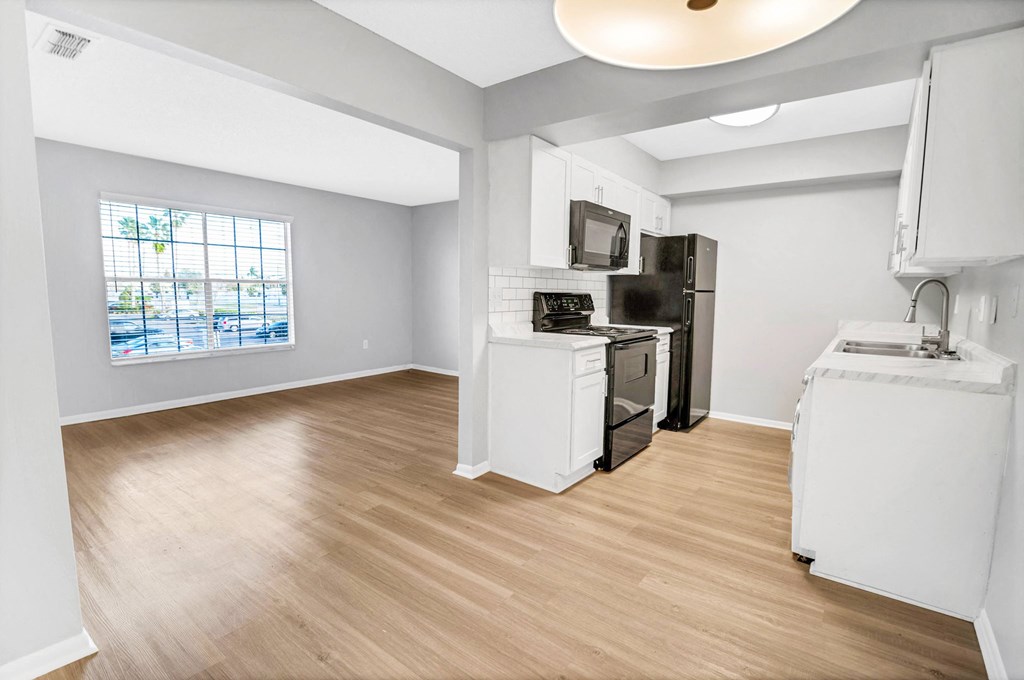 Kitchen and Living Room