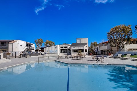 take a dip in the swimming pool at the enclave at woodbridge apartments in sugar land,