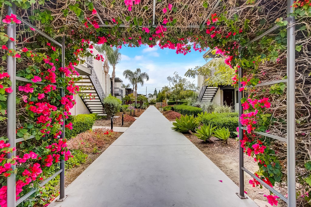 a walkway with pink flowers on both sides of it