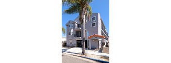 A palm tree stands in front of a two-story building with a garage.
