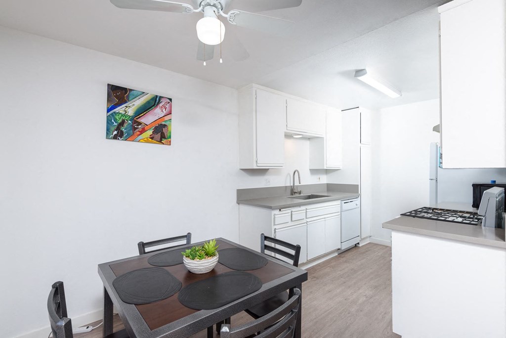 Kitchen and dining table