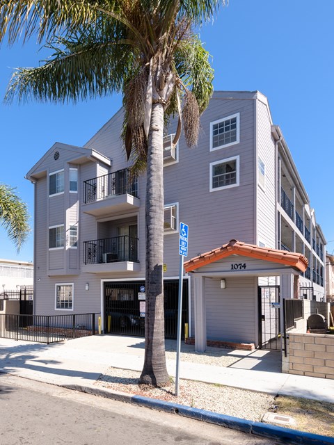 A palm tree stands in front of a two-story building with a garage.