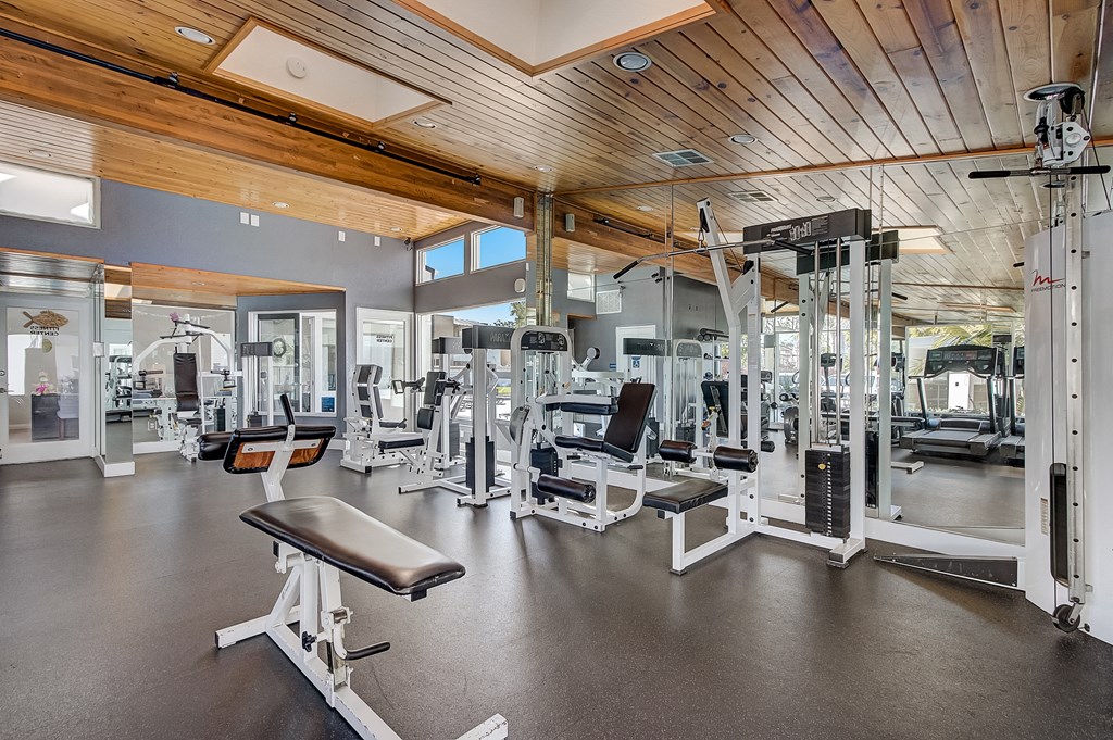 a fully equipped fitness center with treadmills and other exercise equipment