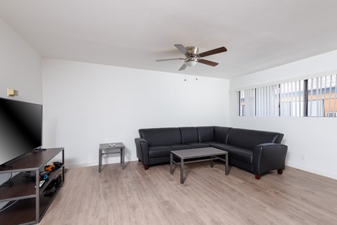 A living room with a black couch and a television.