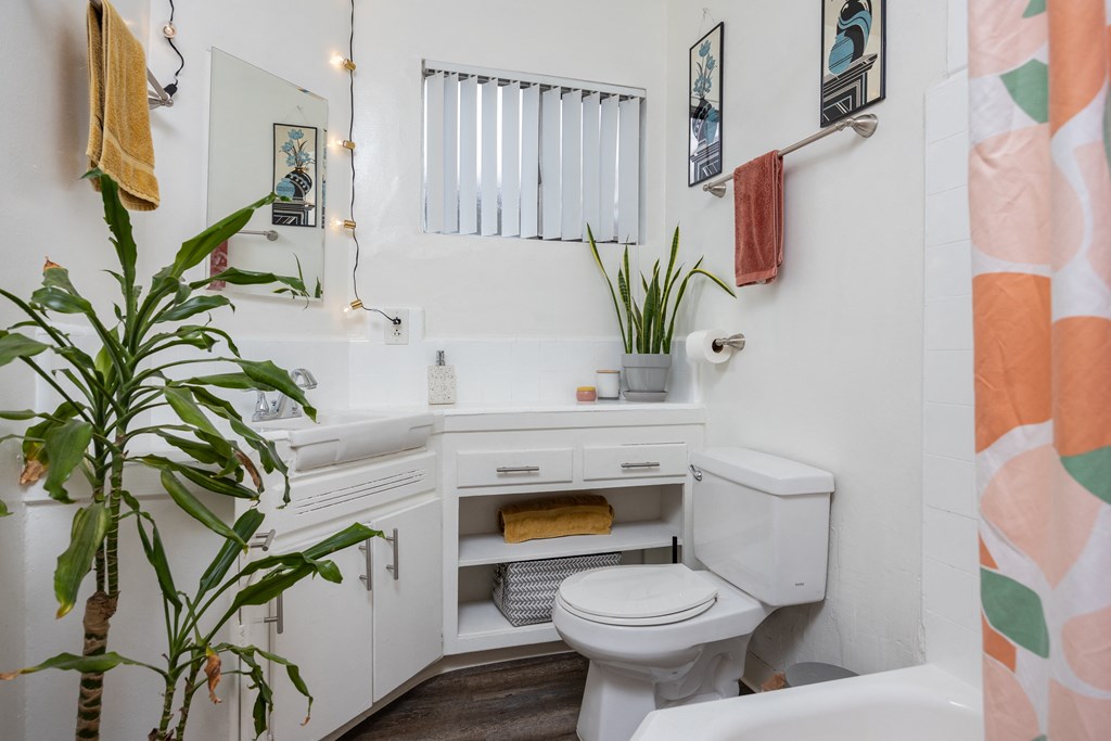 a bathroom with a toilet and a sink and a potted plant