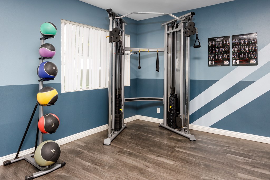 a gym with weights and cardio equipment in a home with blue walls