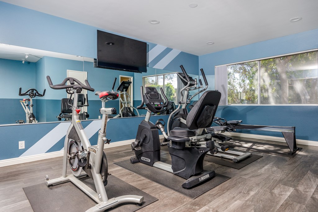 the gym has plenty of cardio equipment and a flat screen tv