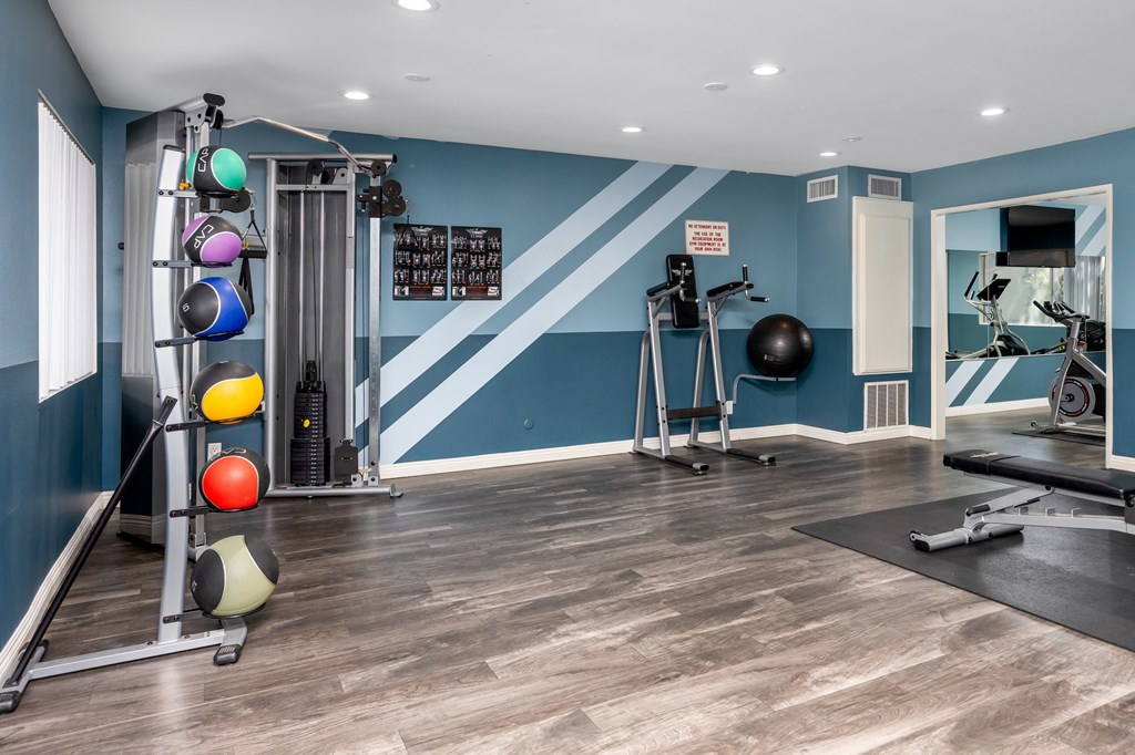 the gym at the whispering winds apartments in pearland, tx