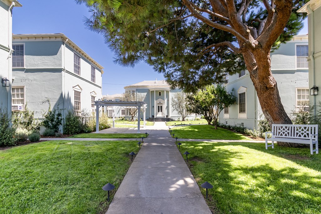 a walkway between two buildings with a tree and a bench