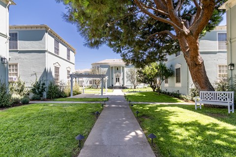 a walkway between two buildings with a tree and a bench