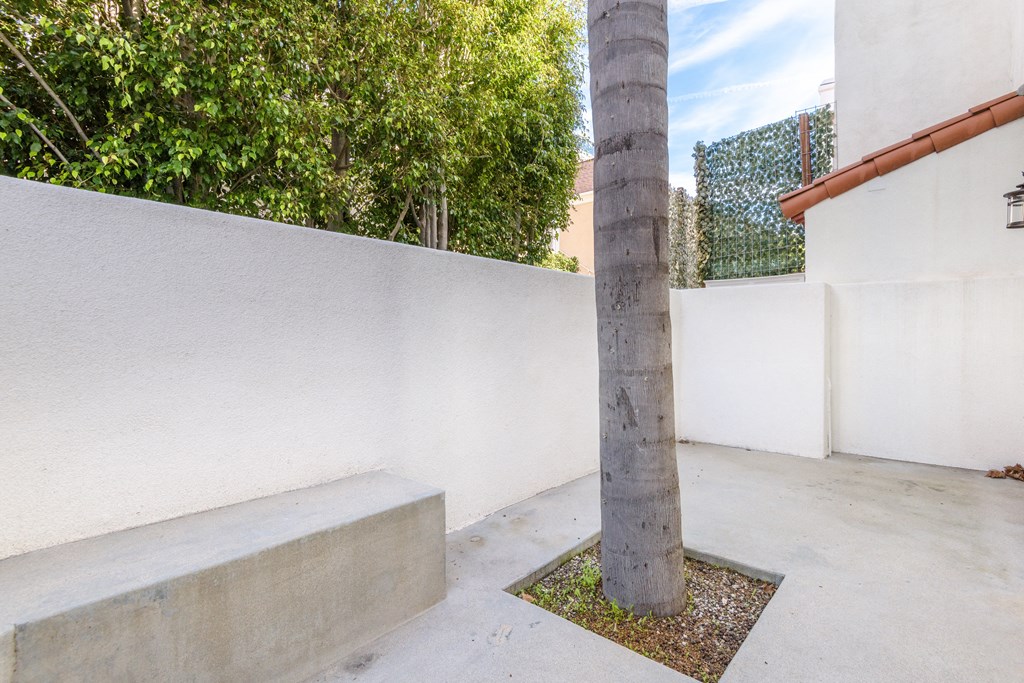 a large tree in the middle of a patio next to a wall