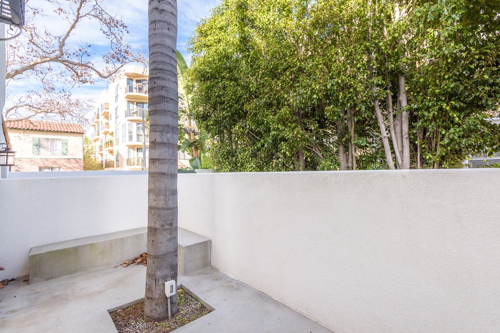 a tree in the corner of a patio next to a wall and trees