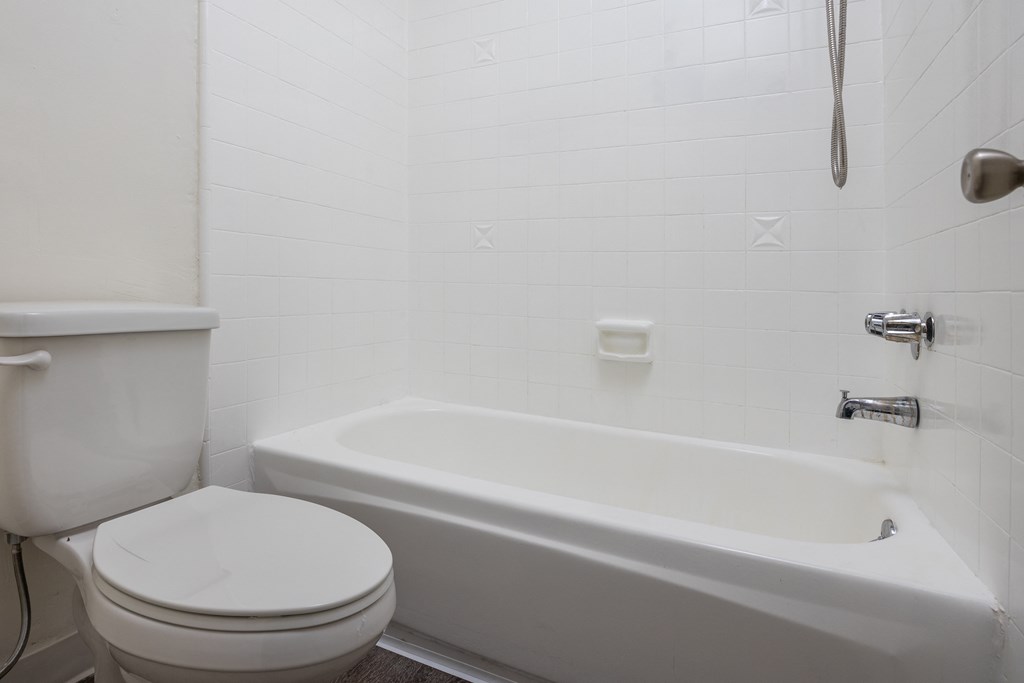 a bathroom with a toilet and a bath tub
