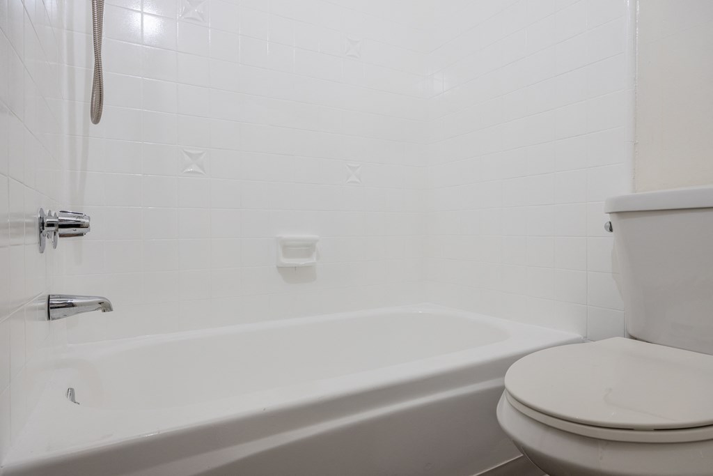 a bathroom with a toilet and a bath tub