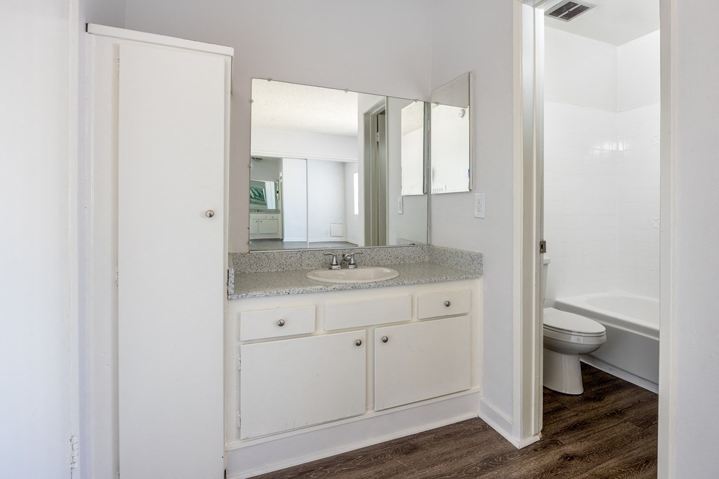 a bathroom with a sink and a toilet and a mirror