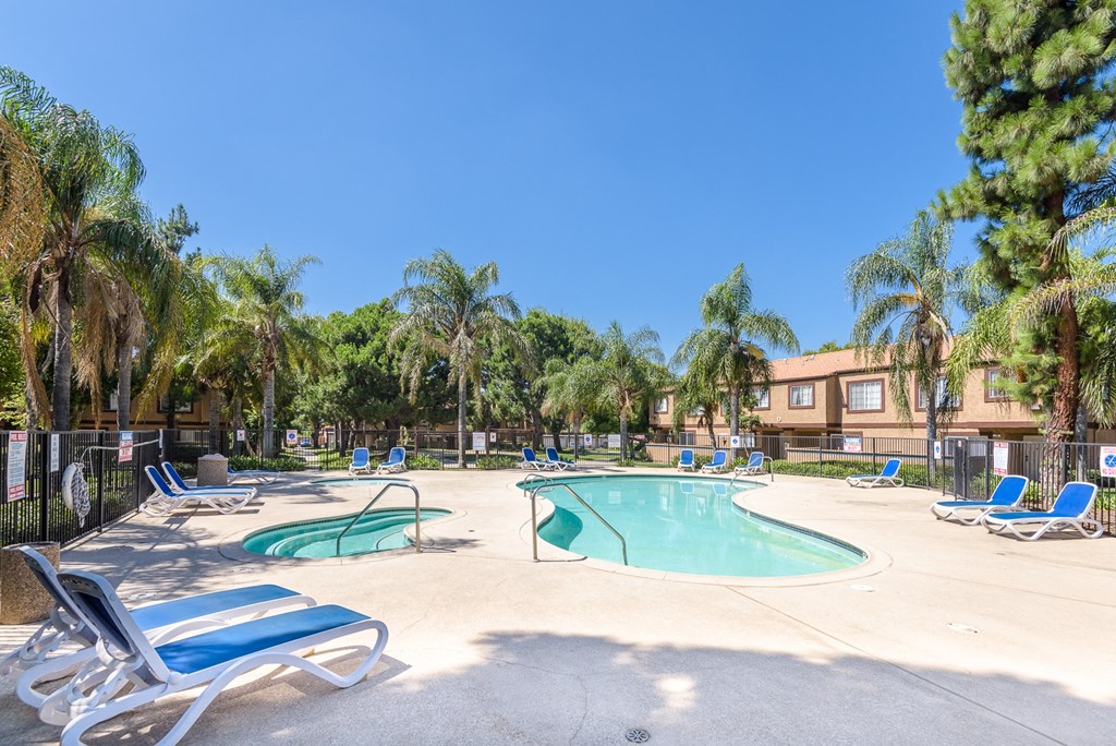 our apartments have a large pool with chairs and palm trees