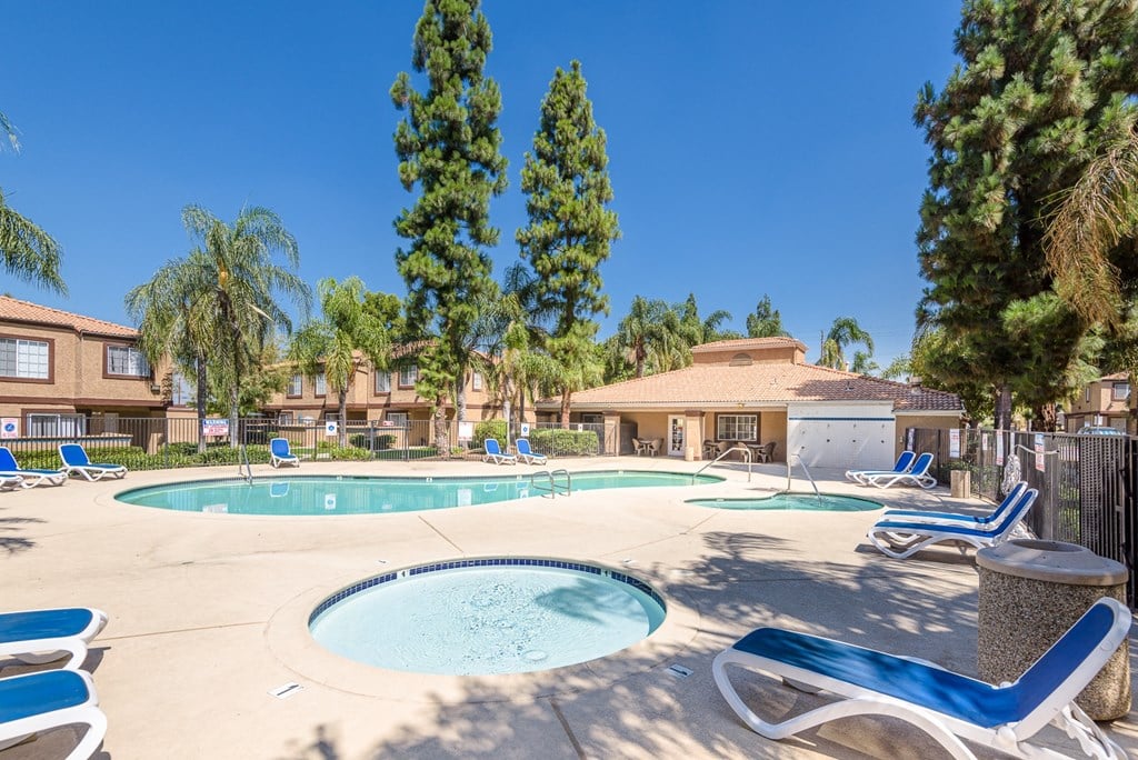 our apartments have a large swimming pool with chairs and trees