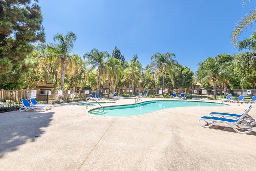 a swimming pool with blue chairs and palm trees