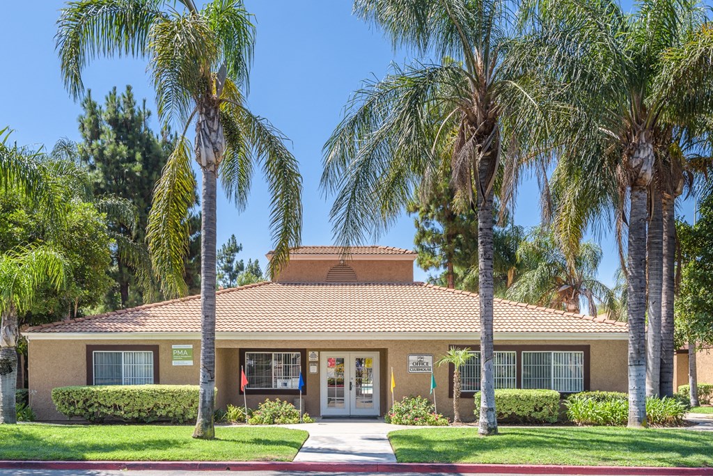 our office is located in a building with palm trees