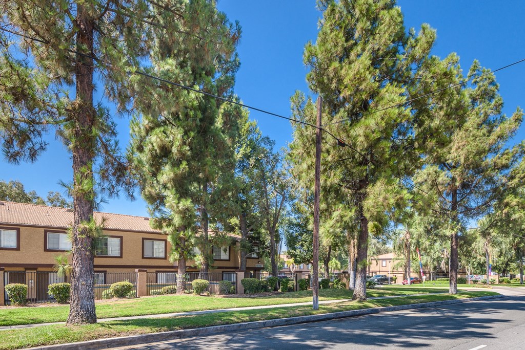 a street in front of an apartment building with trees