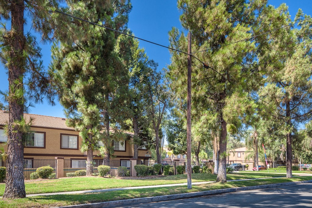 exterior view of apartments with trees and grass and a street