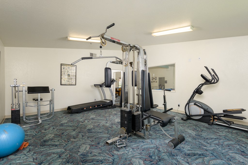 a gym with exercise equipment and a blue ball on the floor