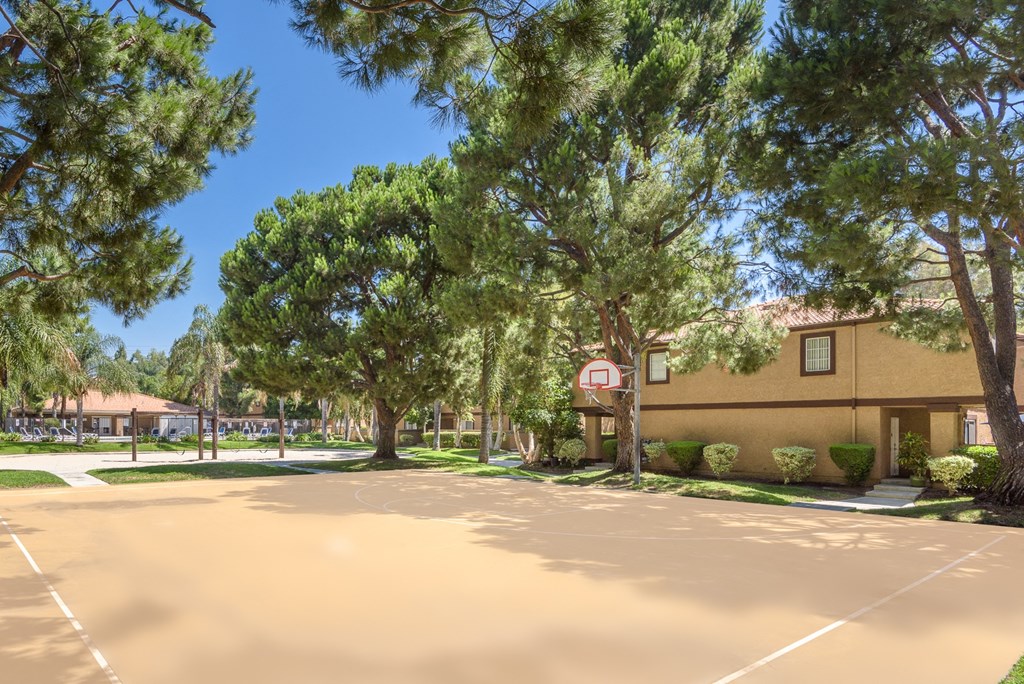 an empty parking lot in front of a building with trees