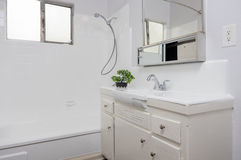 a bathroom with a sink and a mirror and a shower