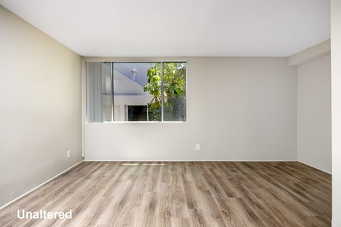 A room with wooden flooring and a window showing trees outside.
