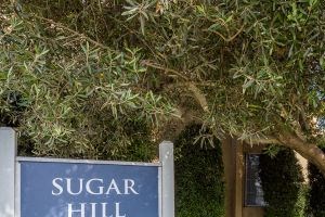 1808 Spreckels Lane 1-2 Beds Apartment for Rent - Photo Gallery 3