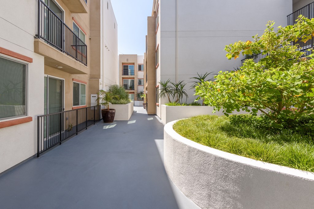 a corridor with buildings and plants on both sides and a blue sky