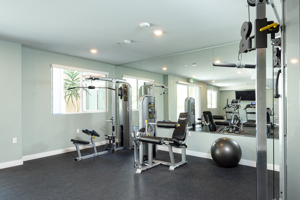 a gym with exercise equipment and weights in a building