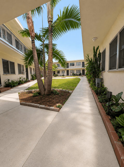 A long concrete walkway leads to a building with a palm tree in the middle.