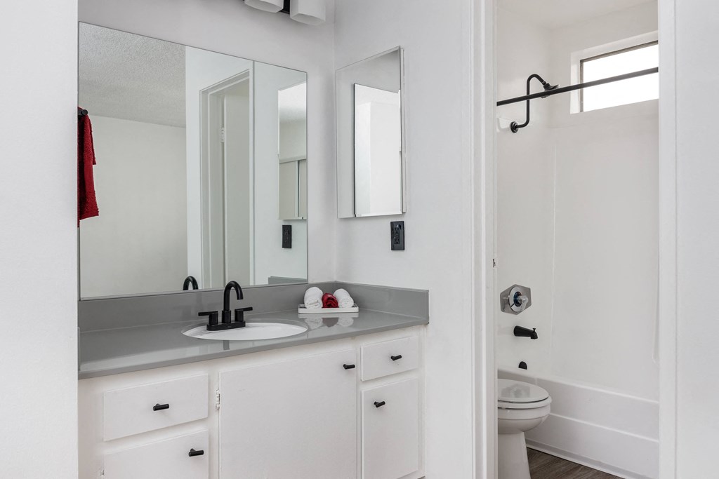 a bathroom with a sink and a mirror and a toilet