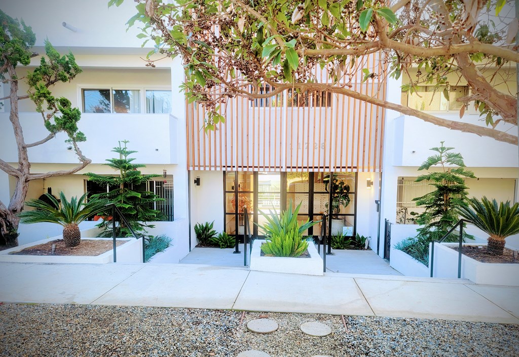 A white building with a tree in front of it.