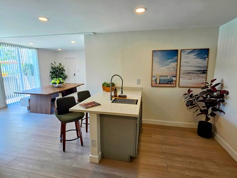 A kitchen with a table and chairs and a plant.