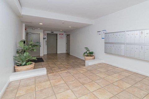 a locker room in a gym with lockers and plants on the floor