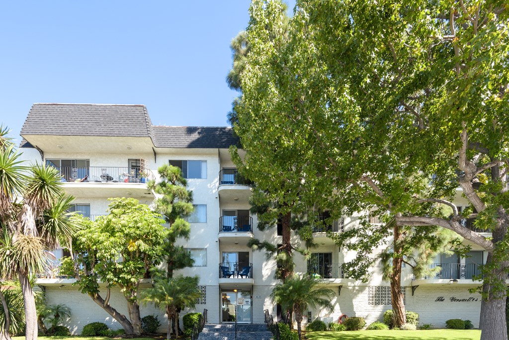 a large white building with trees in front of it