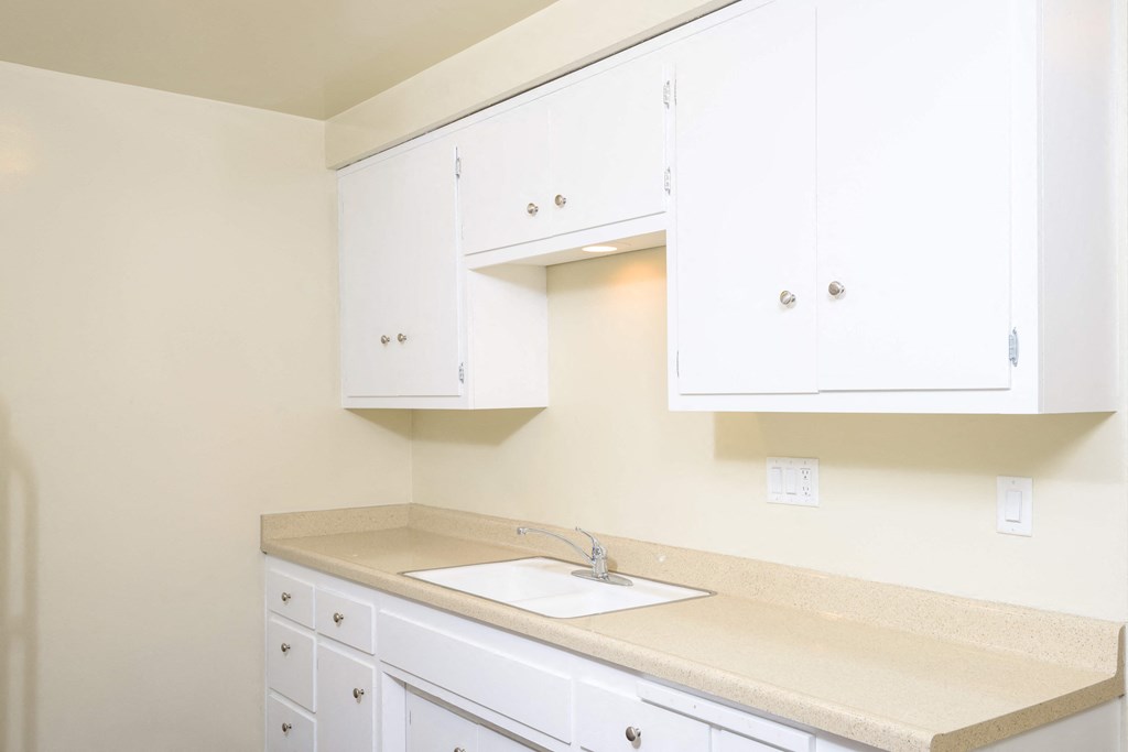 kitchens with cabinets in Martin apartments