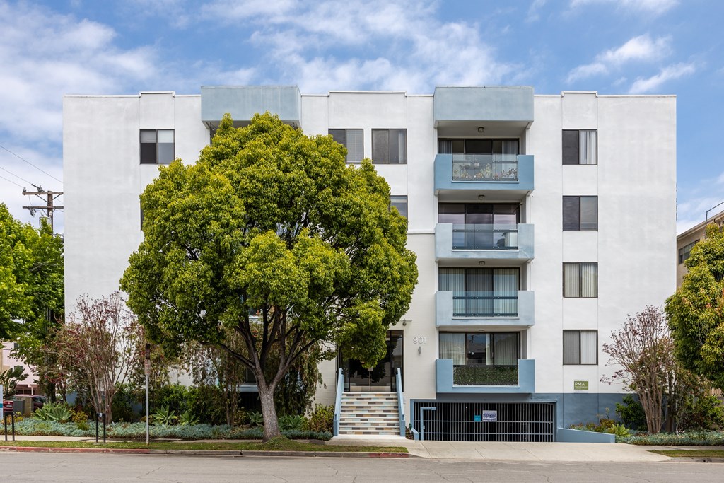 a white apartment building with blue balconies and a tree in front