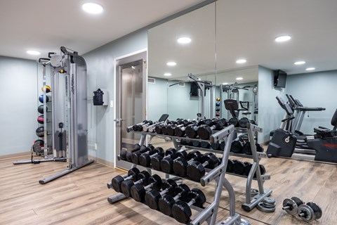 a gym with weights and mirrors on the wall and a glass door
